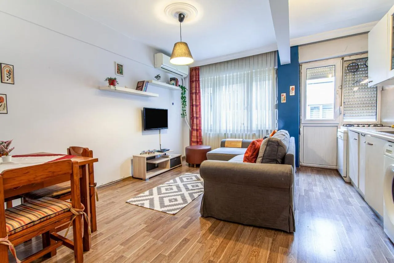 Flat Near Attractions In Ortakoy Apartment Istanbul Turkey