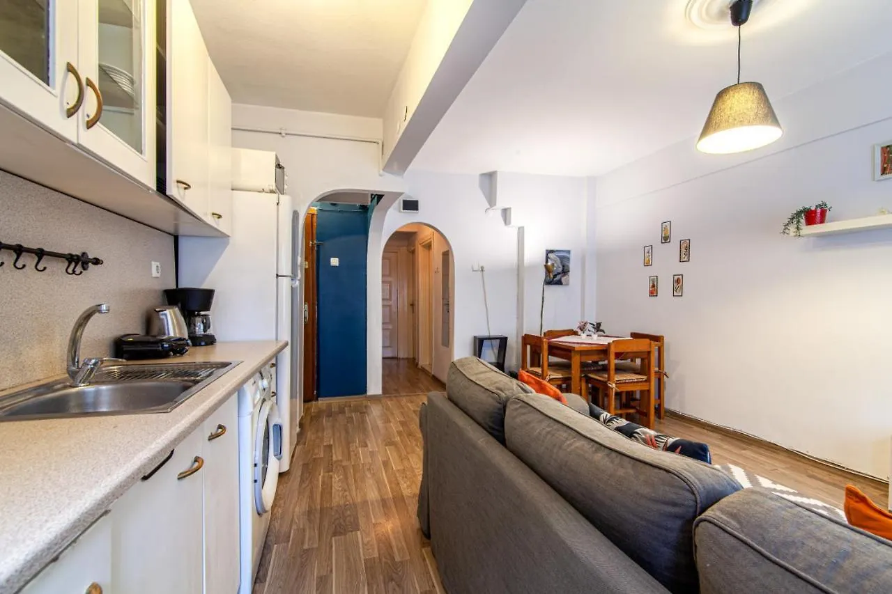 Flat Near Attractions In Ortakoy Apartment Istanbul