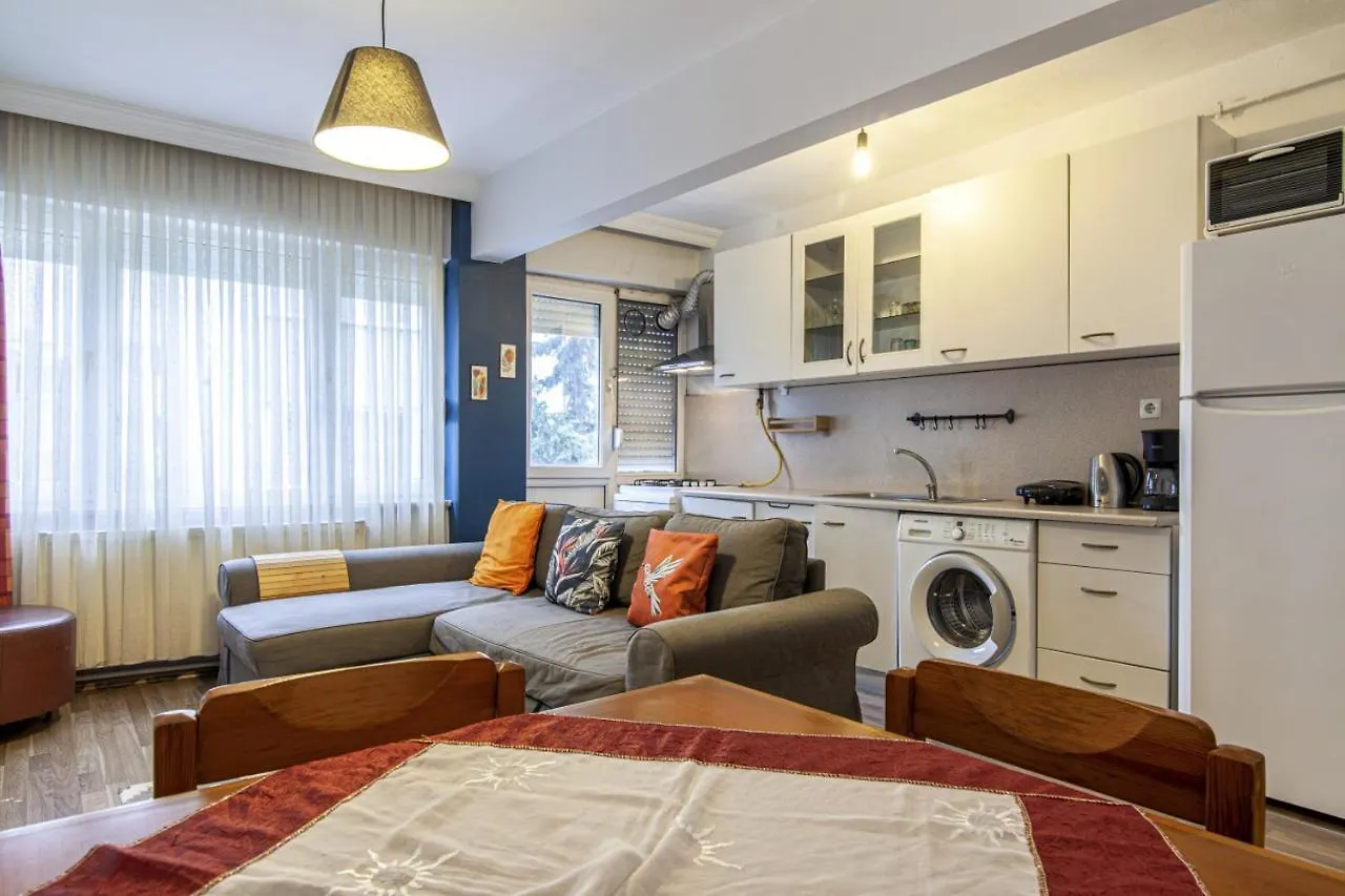 Flat Near Attractions In Ortakoy Apartment Istanbul